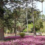 Anton Gardens à Attard